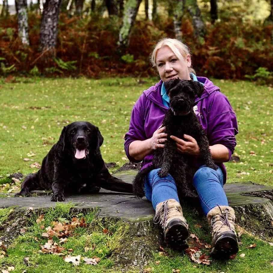 Local dog trainer Southampton, Shirley, Lordswood ,Bassett, Bitterne, Woolston, Hedge End & St Deny’s