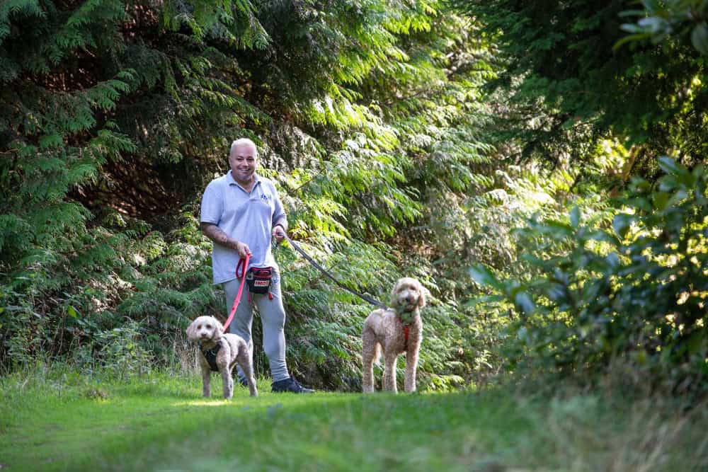 Local dog walker Southampton