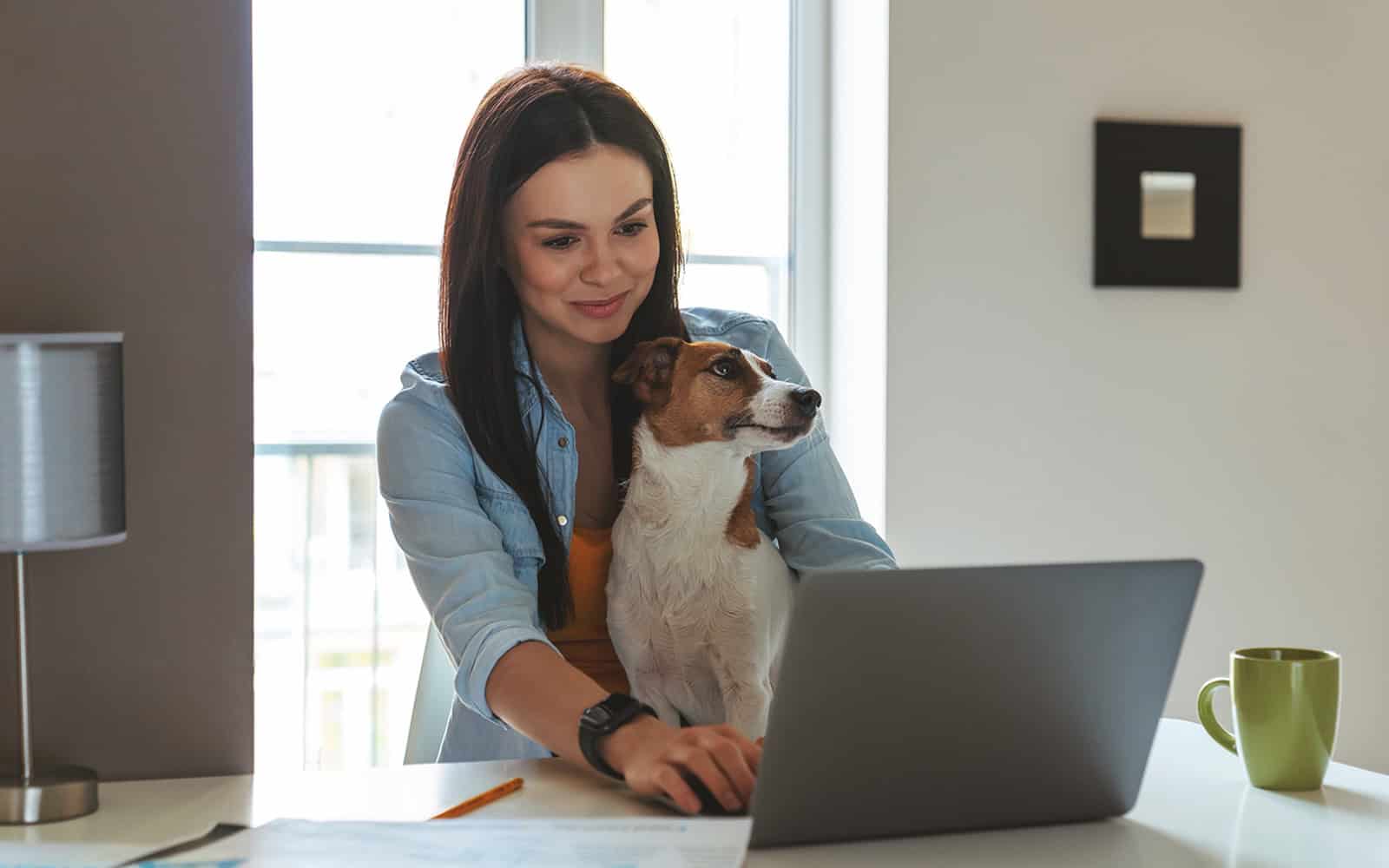 The Benefits of Online Dog Training Simple, Supportive & Accessible