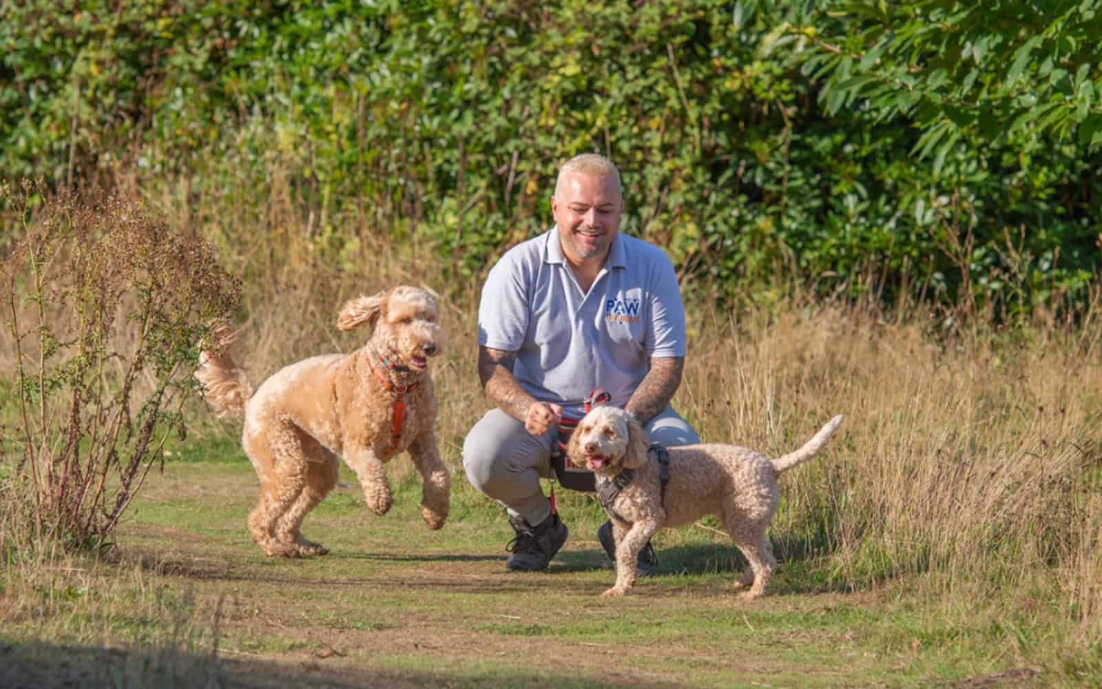 Why It’s Essential to Choose an Insured Dog Walker Protecting Your Pet and Peace of Mind