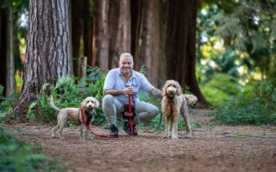Why You Should Choose a Dog Walker with a Valid DBS Check: Ensuring Trust and Security