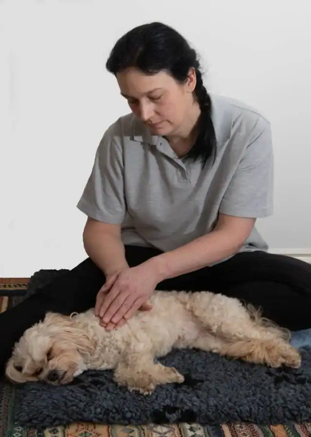 emma canine massage