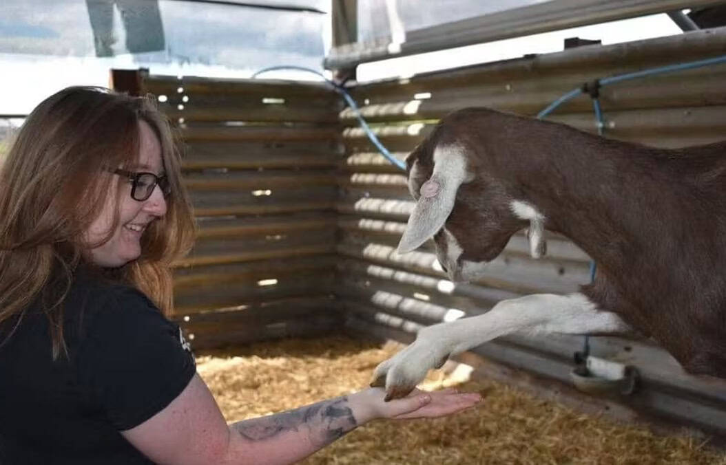 Teri Nathan's Paw Trails